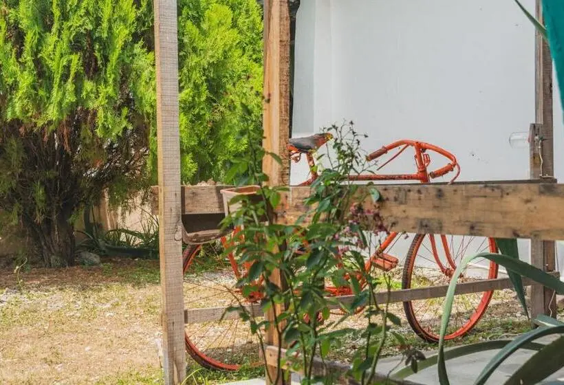 تختخواب در اتاق مشترک, Casa Samay