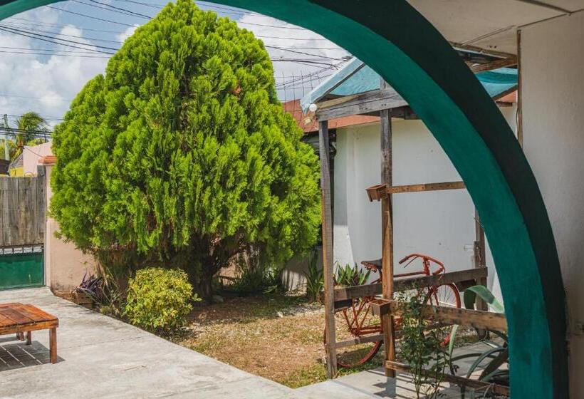 Кровать в Общей Комнате, Casa Samay