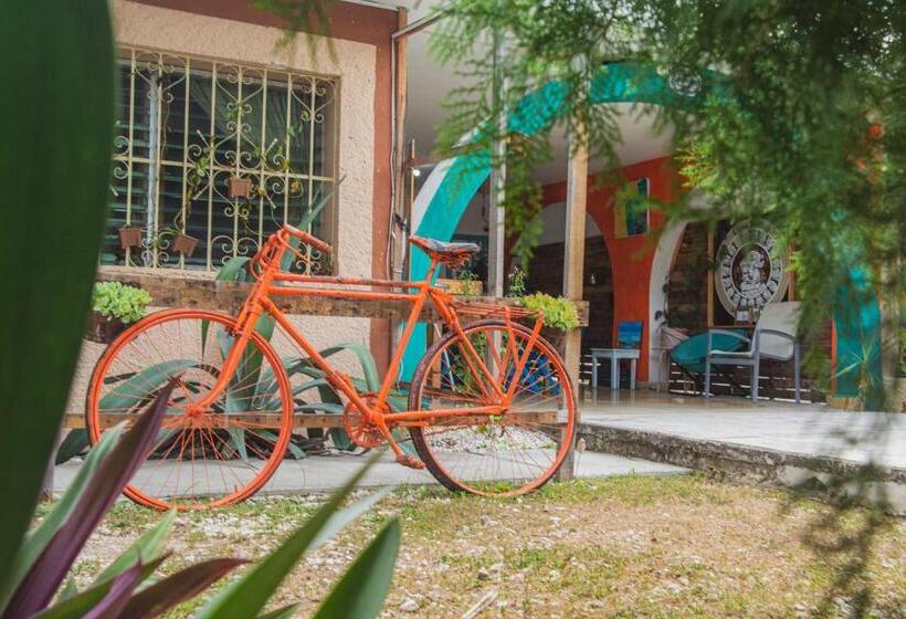 Студия Стандарт, Casa Samay