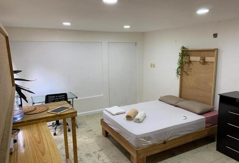 Студия Стандарт, Casa Samay