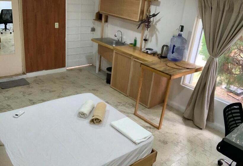 Студия Стандарт, Casa Samay