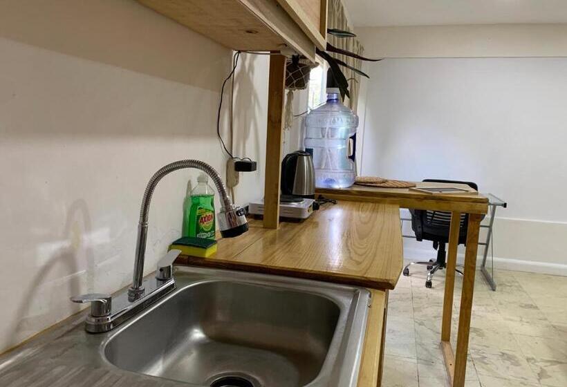 Студия Стандарт, Casa Samay