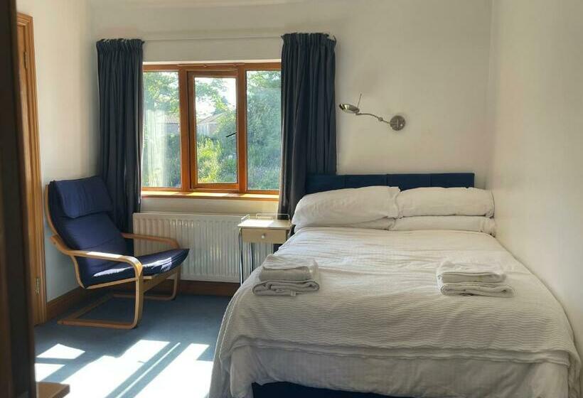 Standard Single Room, O Domhnaill S Guesthouse   Lig Do Scíth