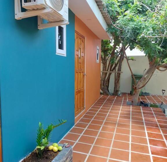 استودیوی سوپریور, Curasita Colour Appartments