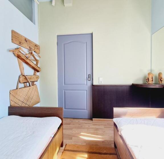 اتاق استاندارد با سرویس بهداشتی مشترک, Hellovilniushostel