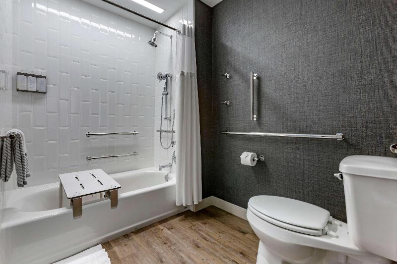 اتاق استاندارد با تخت بزرگ برای معلولان, Cambria Hotel Austin Airport