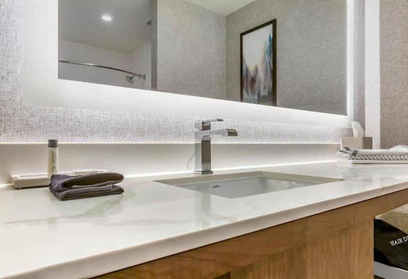 اتاق استاندارد, Cambria Hotel Austin Airport