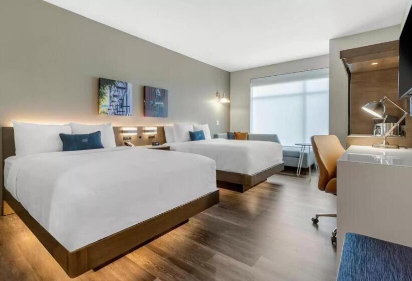اتاق استاندارد, Cambria Hotel Austin Airport