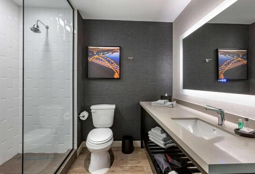 سوئیت با تخت بزرگ, Cambria Hotel Austin Airport