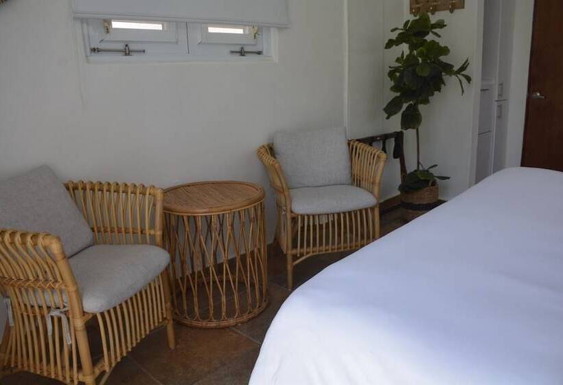 سوییت جونیور, Turtle Bay Inn