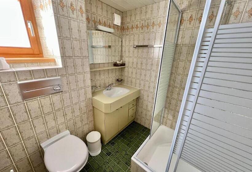 Standard Einzelzimmer Geteiltes Bad, Lech Hostel