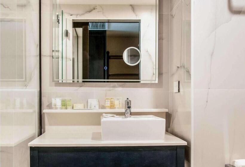 اتاق استاندارد, Novotel Santa Cruz De La Sierra