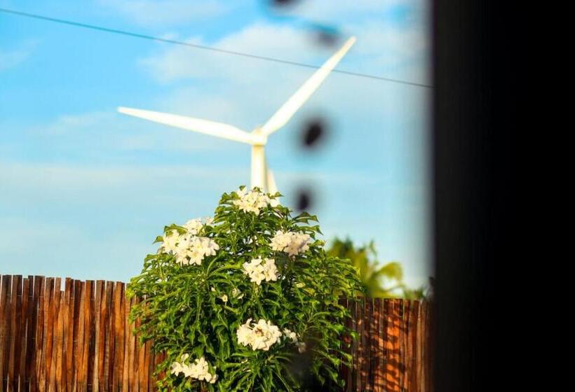 جناح ديلوكس, Vila Vintém Chalés