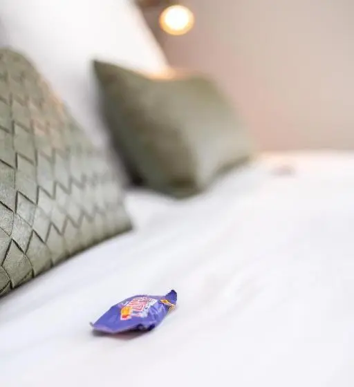 デラックスルーム, B&b De Mansarde