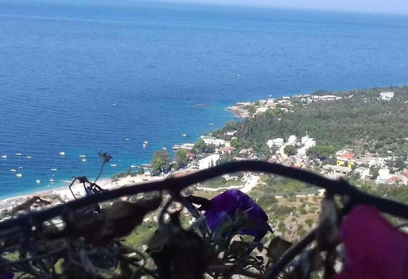 اتاق استاندارد چهار تخته, Bluflest