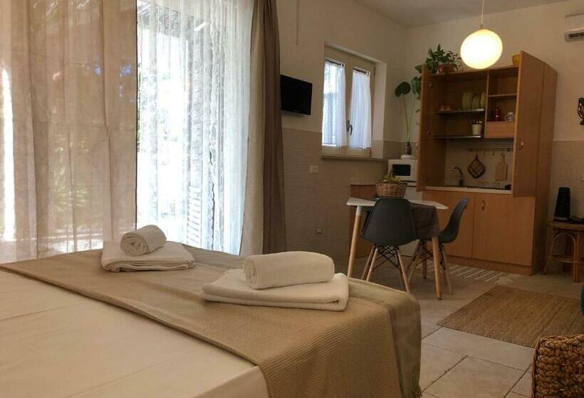 Deluxe Studio, Odegos