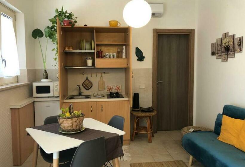 استودیوی لوکس, Odegos