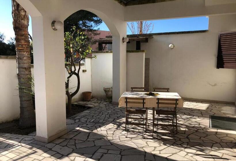 Deluxe Studio, Odegos