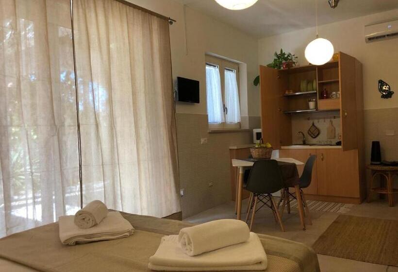 Deluxe Studio, Odegos