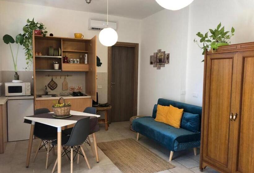استودیوی لوکس, Odegos