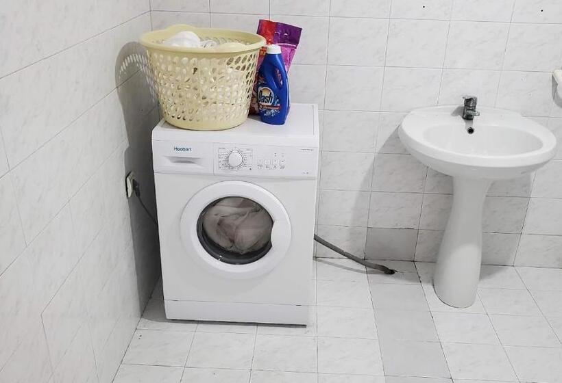 带园景的单人房, Chicago