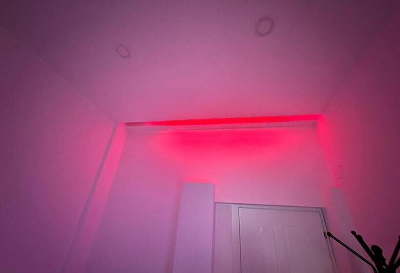 带园景的单人房, Chicago