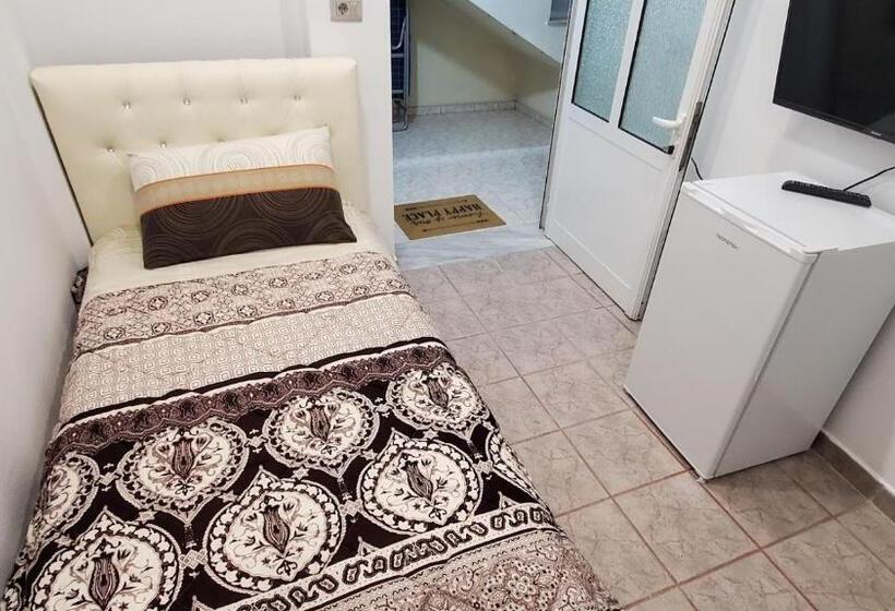 带园景的单人房, Chicago