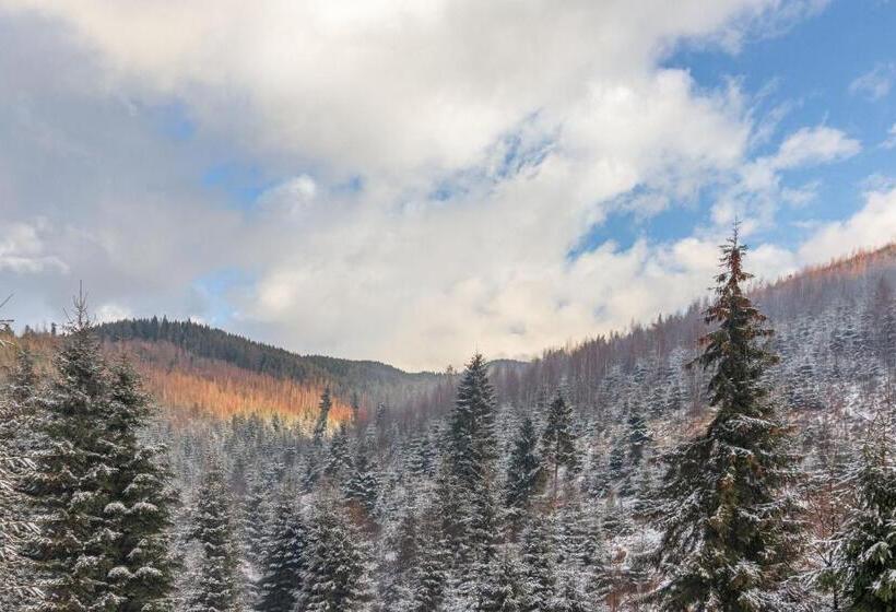 اتاق استاندارد با چشمانداز کوهستان, Konopka Forest Home & Spa