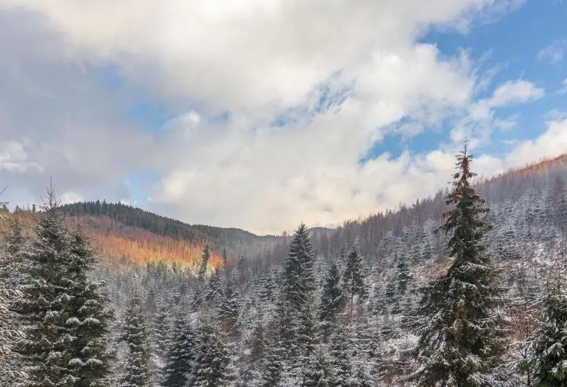 اتاق استاندارد با چشم‌انداز کوهستان, Konopka Forest Home & Spa