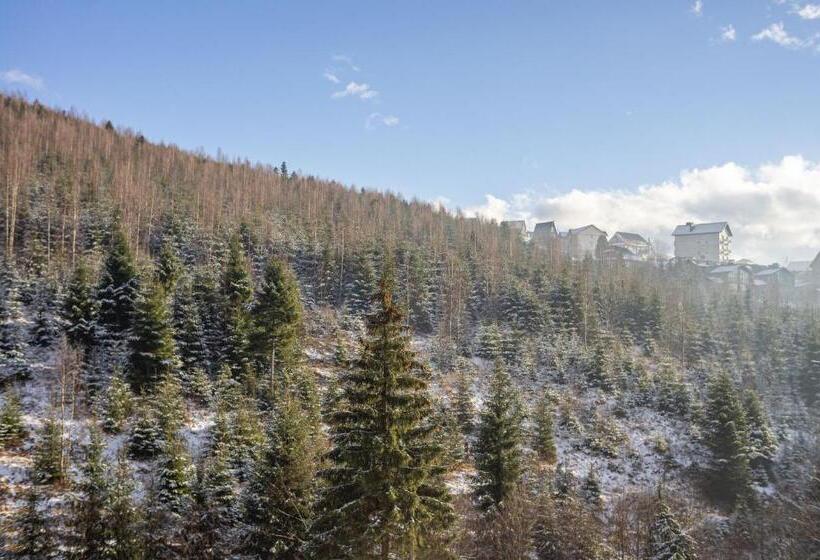 اتاق استاندارد با چشمانداز کوهستان, Konopka Forest Home & Spa