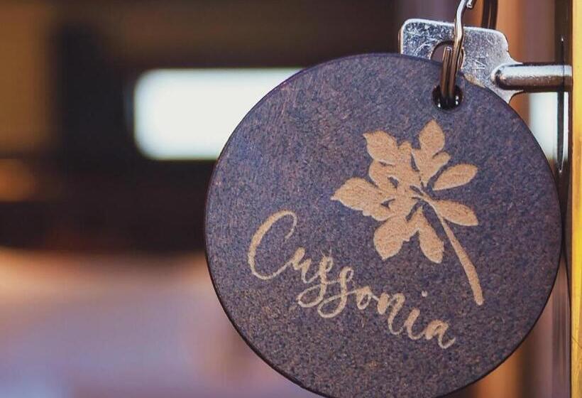 이그제큐티브 룸 킹사이즈 침대, Cussonia Country Home