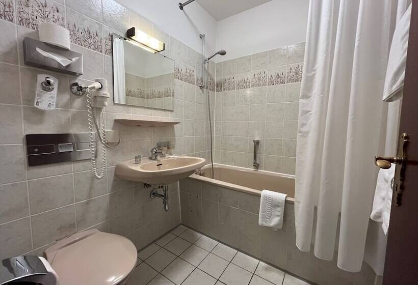 غرفة قياسية, Garni Geisler