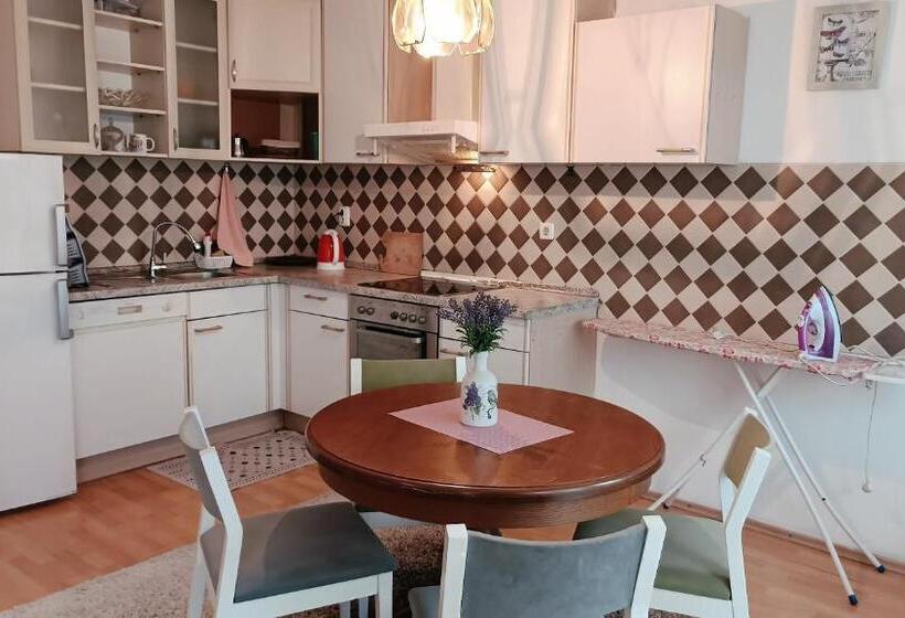 آپارتمان 1 خوابه با بالکن, City Park Apartments