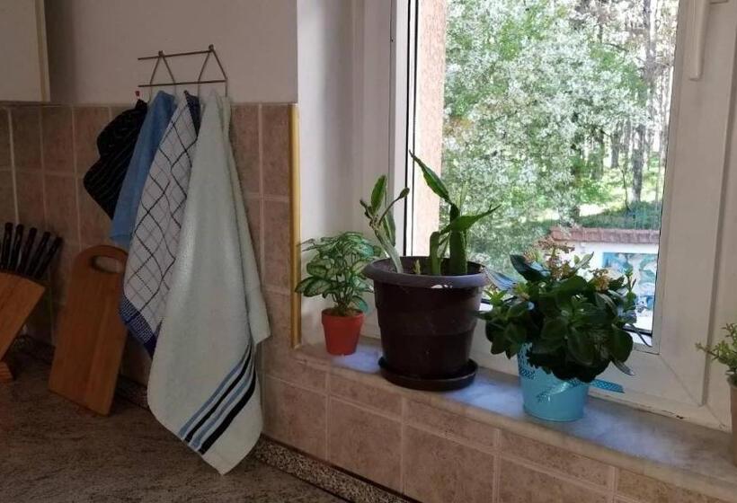 آپارتمان 1 خوابه, City Park Apartments