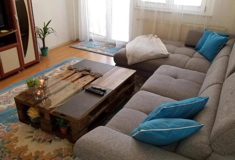 آپارتمان 1 خوابه, City Park Apartments