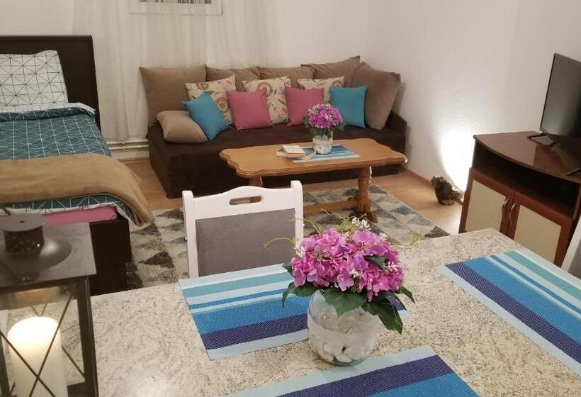 استودیوی استاندارد, City Park Apartments