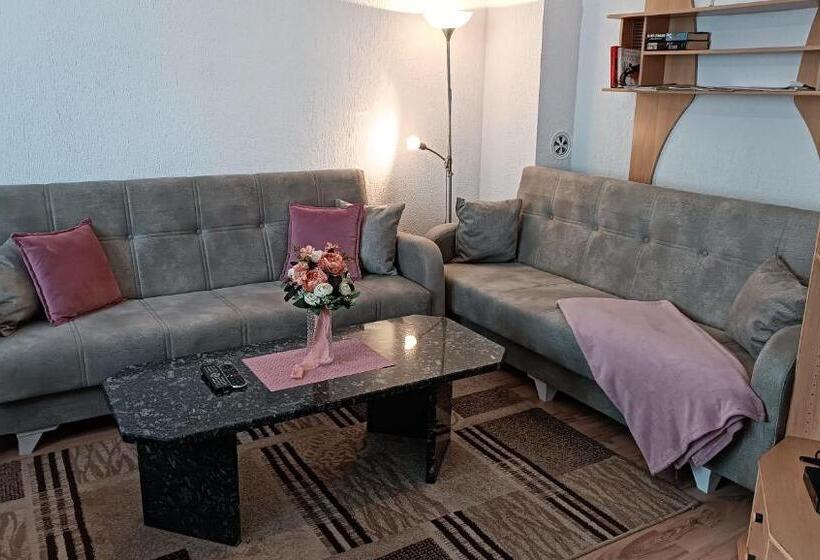 تختخواب در اتاق مشترک, City Park Apartments