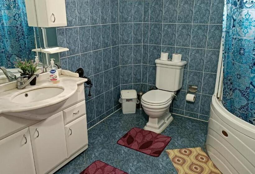 اتاق استاندارد با سرویس بهداشتی مشترک, City Park Apartments