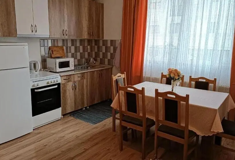 اتاق استاندارد با سرویس بهداشتی مشترک, City Park Apartments