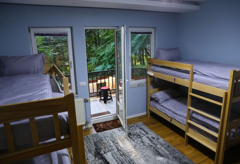 تختخواب در اتاق مشترک, City Park Apartments