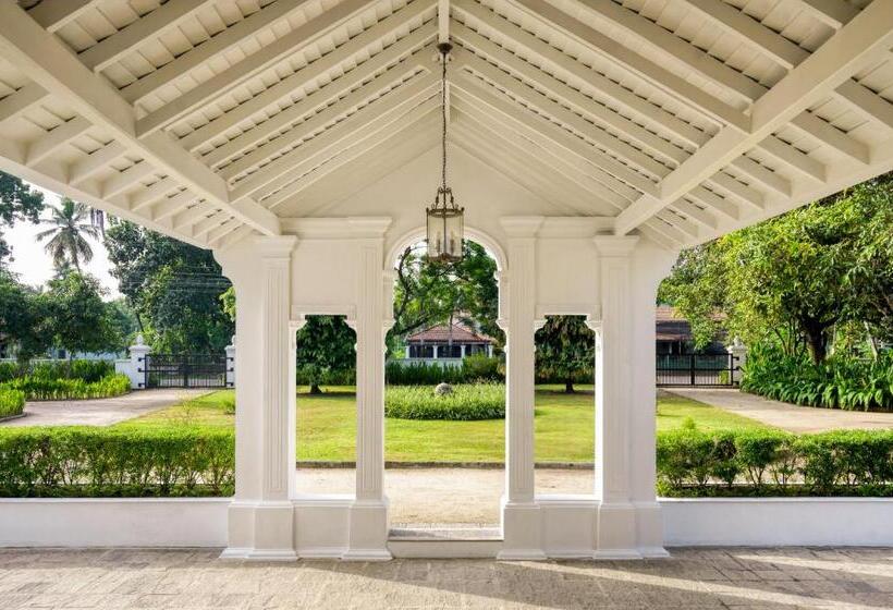 Люкс Премиум, Uga Riva Negombo