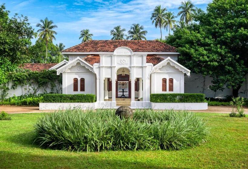 جناح بريميوم, Uga Riva Negombo