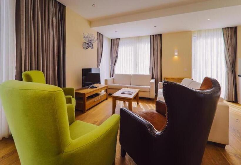 带3个卧室的高级公寓, The House Zell Am See