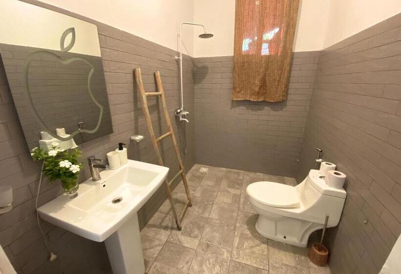 スタンダードルーム, Cezere The Palm