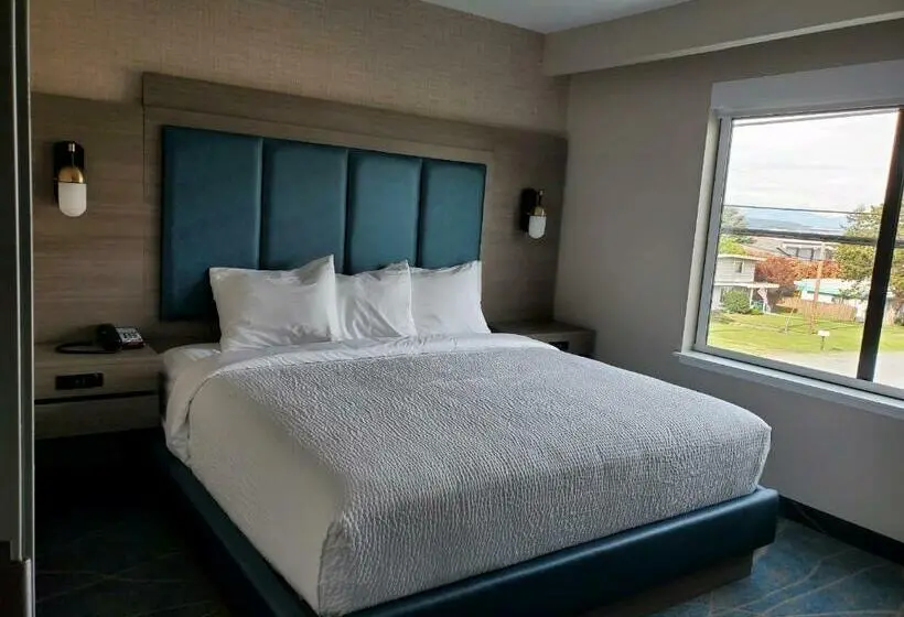 キングサイズベッドのデラックススイート, Salish Inn