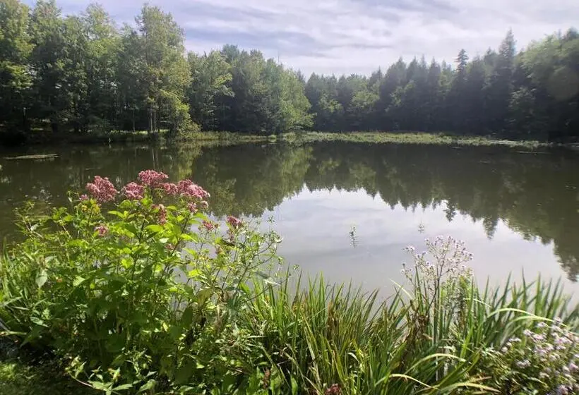デラックスルーム, Mill Pond Inn
