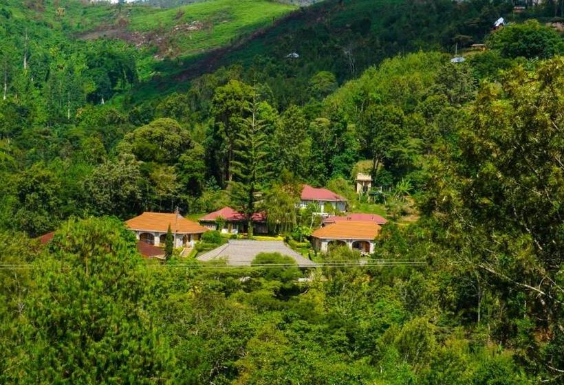 חדר סופריור, Lushoto Executive Lodge