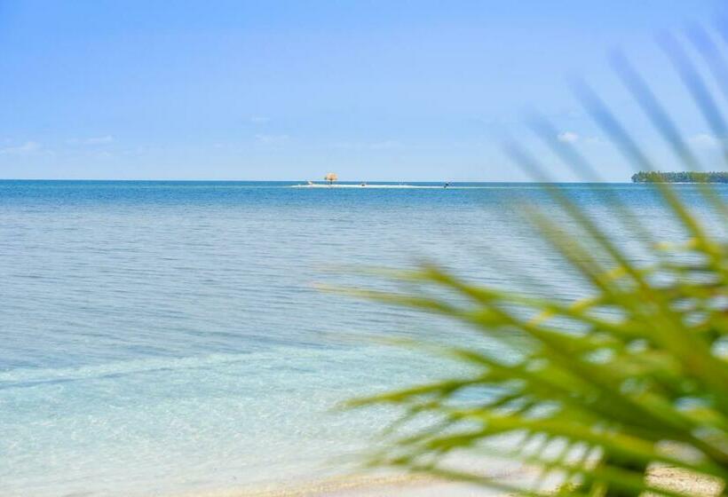 小型套房, Calala Island