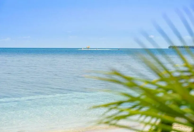 ジュニアスイート, Calala Island