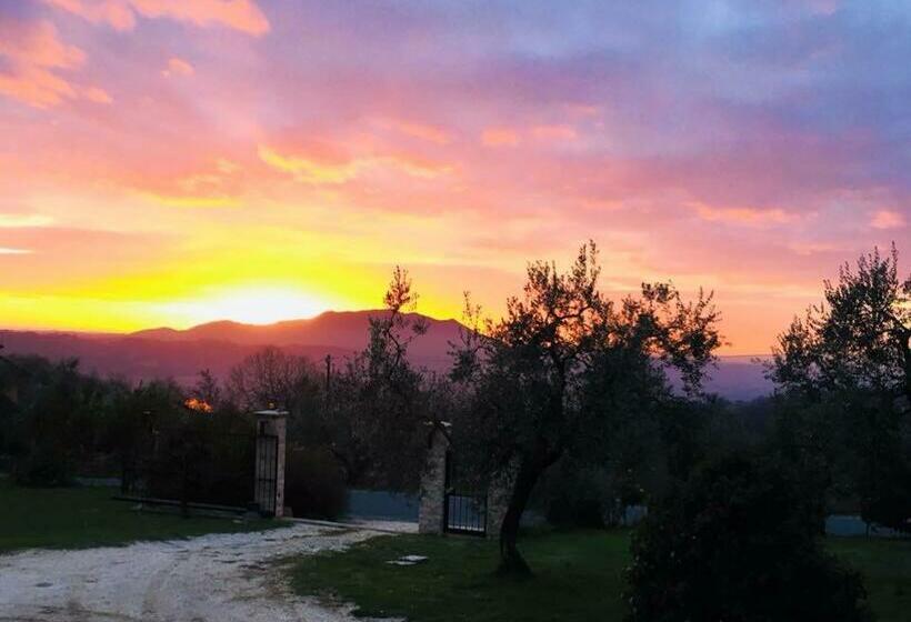 חדר משפתחתי סופריור, La Collina Degli Ulivi